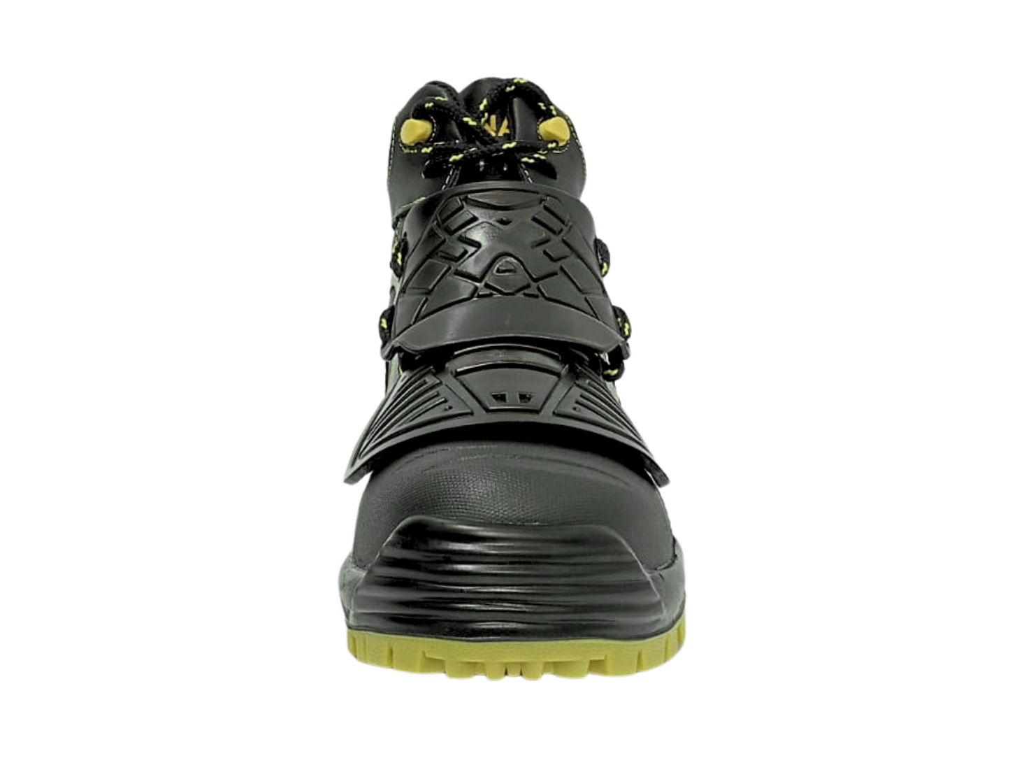068 X Metatarsal