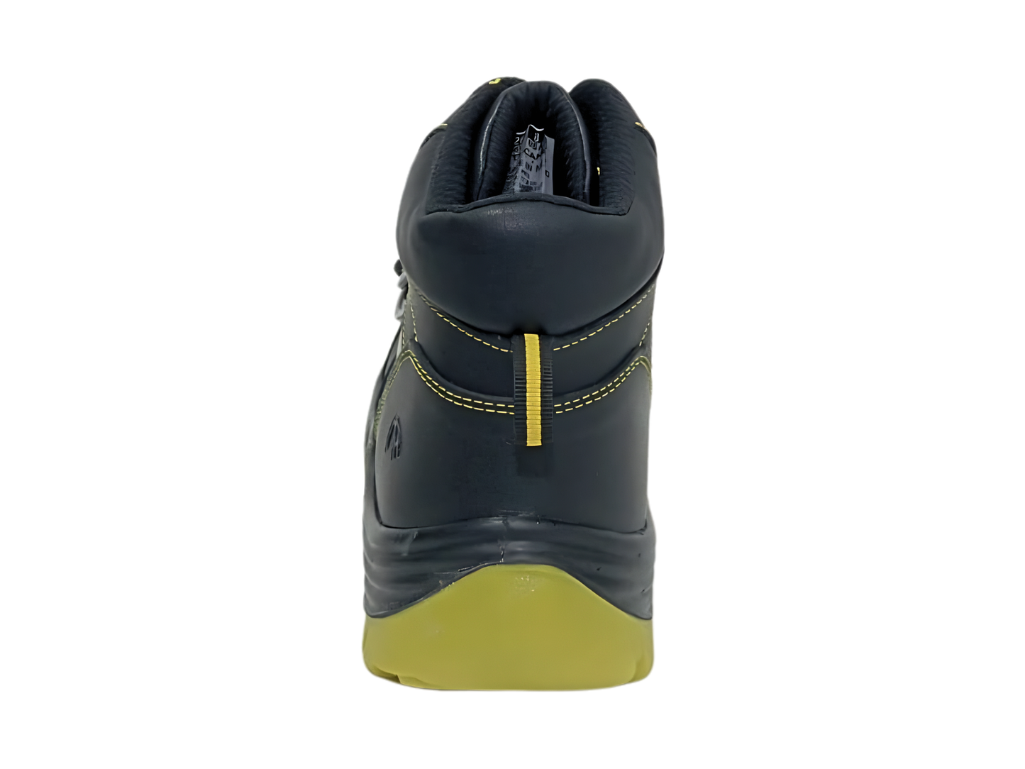 068 X Metatarsal